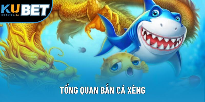 Tổng quan bắn cá xèng Tổng quan bắn cá xèng