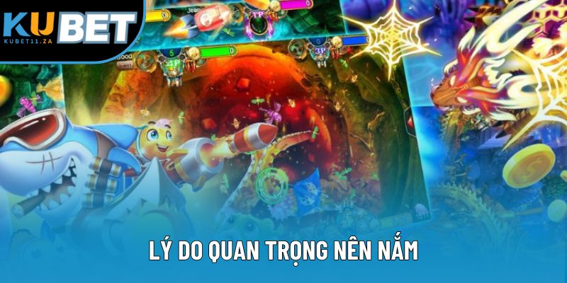 Lý do quan trọng nên nắm Lý do quan trọng nên nắm