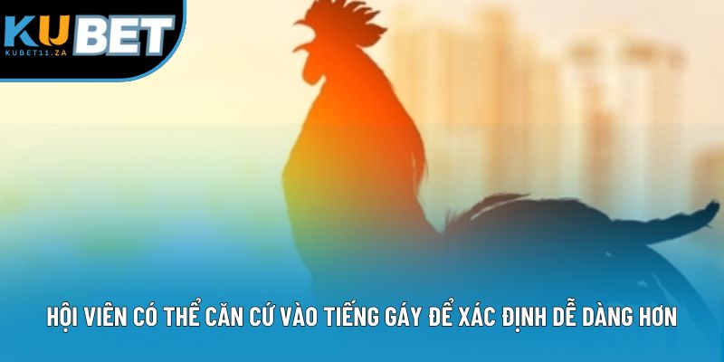 Hội viên có thể căn cứ vào tiếng gáy để xác định dễ dàng hơn