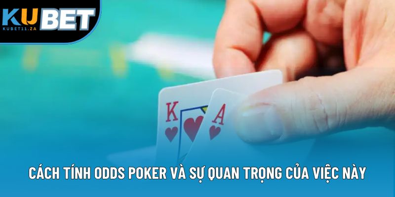 Cách tính odds Poker và sự quan trọng của việc này