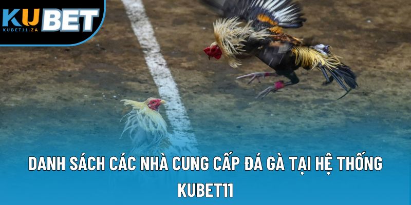 Danh sách các nhà cung cấp đá gà tại hệ thống KUBET11