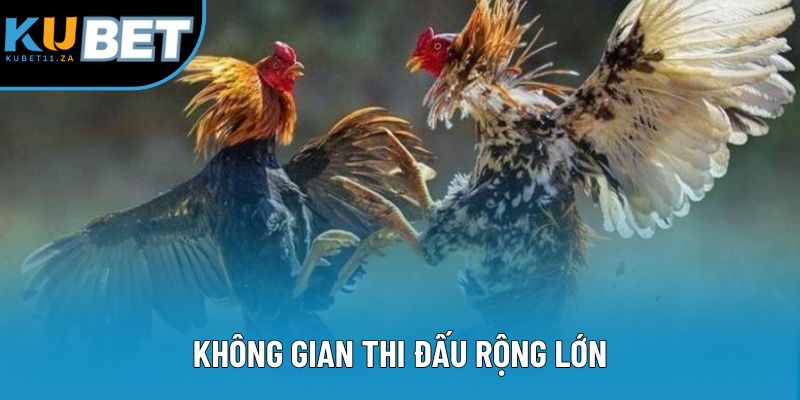Không gian thi đấu rộng lớn Không gian thi đấu rộng lớn