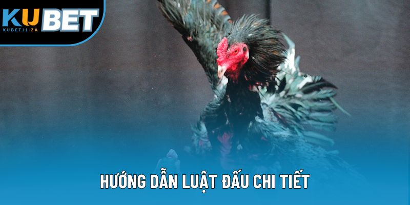 Hướng dẫn luật đấu chi tiết Hướng dẫn luật đấu chi tiết