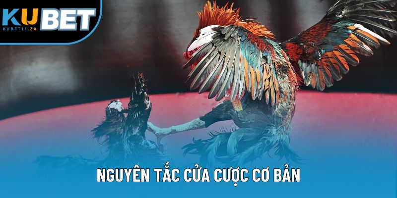 Nguyên tắc cửa cược cơ bản Nguyên tắc cửa cược cơ bản
