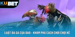 Luật Đá Gà Cựa Dao - Khám Phá Cách Chơi Chọi Kê Chi Tiết
