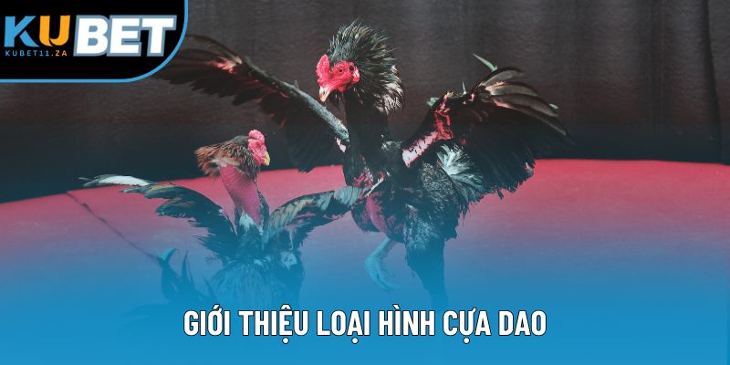 Giới thiệu loại hình cựa dao Giới thiệu loại hình cựa dao
