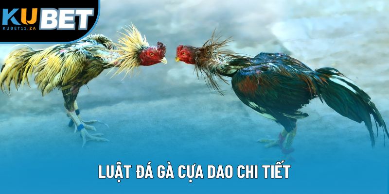 Luật đá gà cựa dao chi tiết Luật đá gà cựa dao chi tiết
