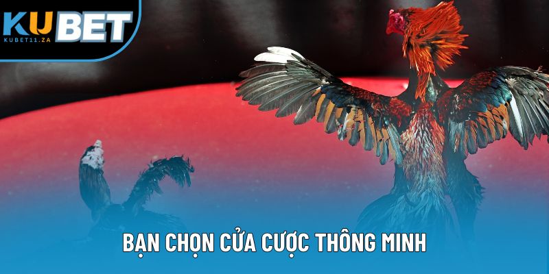 Bạn chọn cửa cược thông minh Bạn chọn cửa cược thông minh