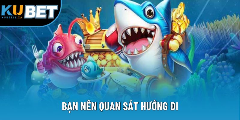 Bạn nên quan sát hướng đi Bạn nên quan sát hướng đi