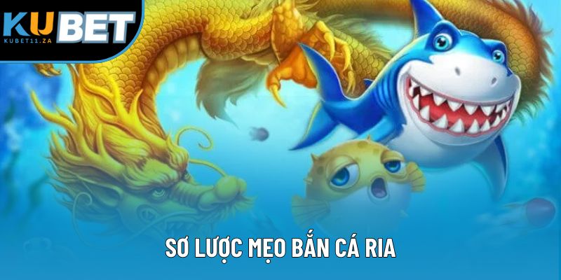Sơ lược mẹo bắn cá ria Sơ lược mẹo bắn cá ria