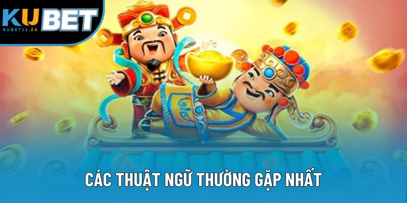 Các thuật ngữ thường gặp nhất