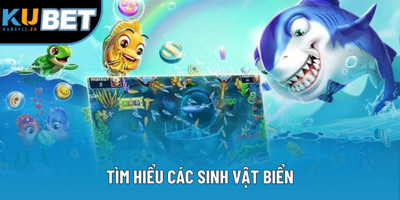 Tìm hiểu các sinh vật biển Tìm hiểu các sinh vật biển