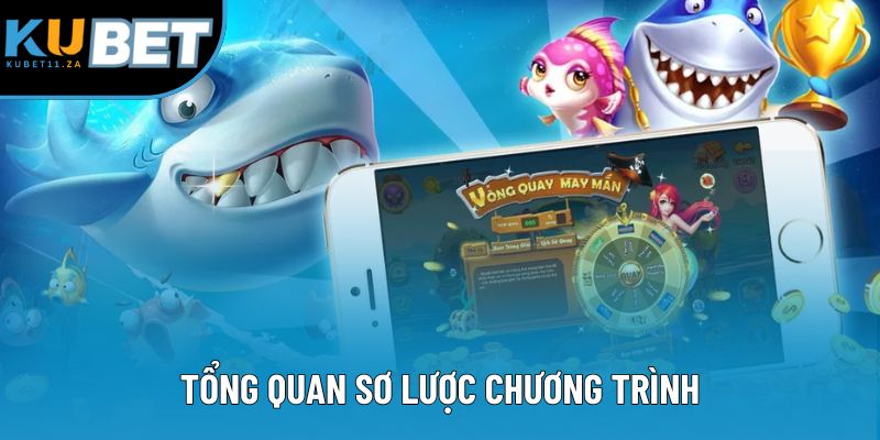 Tổng quan sơ lược chương trình Tổng quan sơ lược chương trình