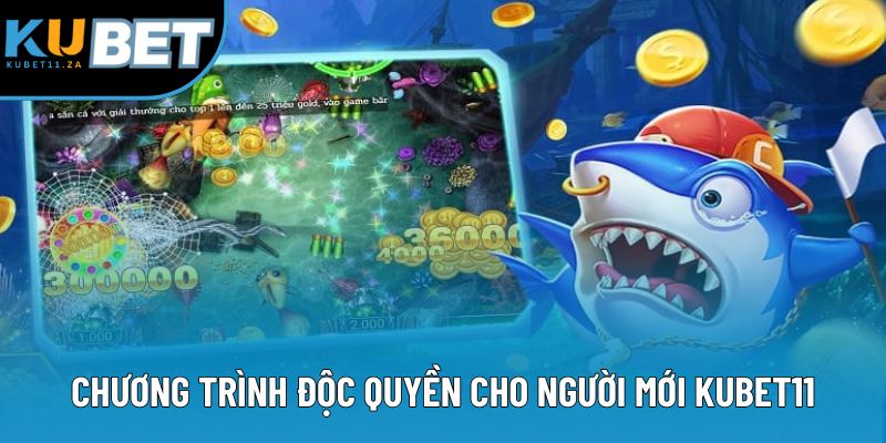 Chương trình độc quyền cho người mới KUBET11 Chương trình độc quyền cho người mới KUBET11