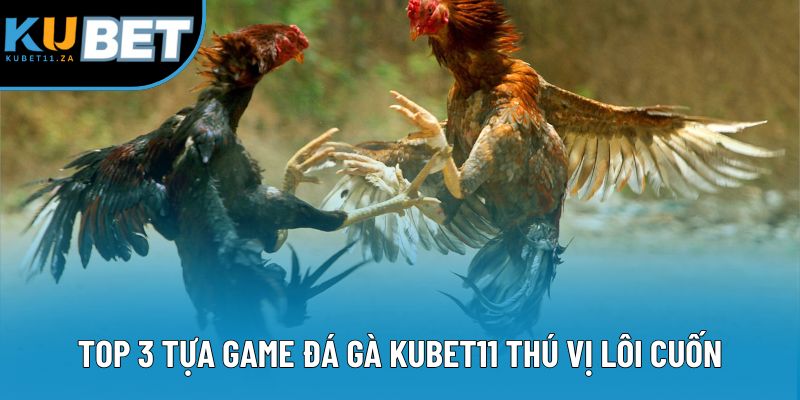Top 3 tựa game đá gà KUBET11 thú vị lôi cuốn