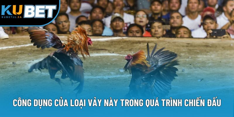 Công dụng của loại vảy này trong quá trình chiến đấu