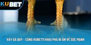 Vảy Gà Quý - Cùng Kubet11 Khai Phá Bí Ẩn Về Sức Mạnh