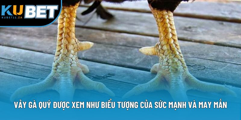 Vảy gà quý được xem như biểu tượng của sức mạnh và may mắn