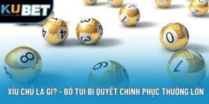 Xỉu Chủ Là Gì? Bỏ Túi Bí Quyết Chinh Phục Thưởng Lớn